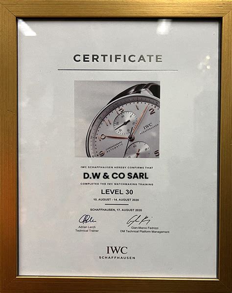 iwc service center texas.